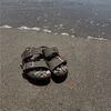 rayneq